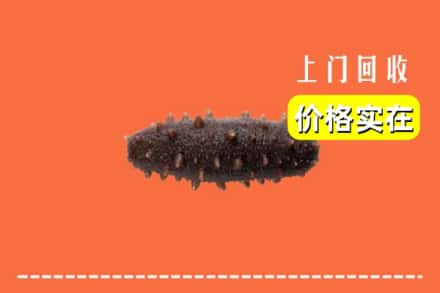 收购资讯:辽源西安区回收海参