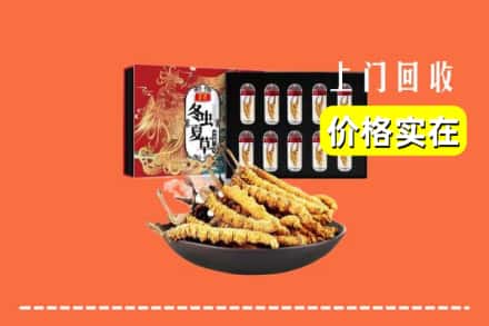 辽源西安区回收虫草